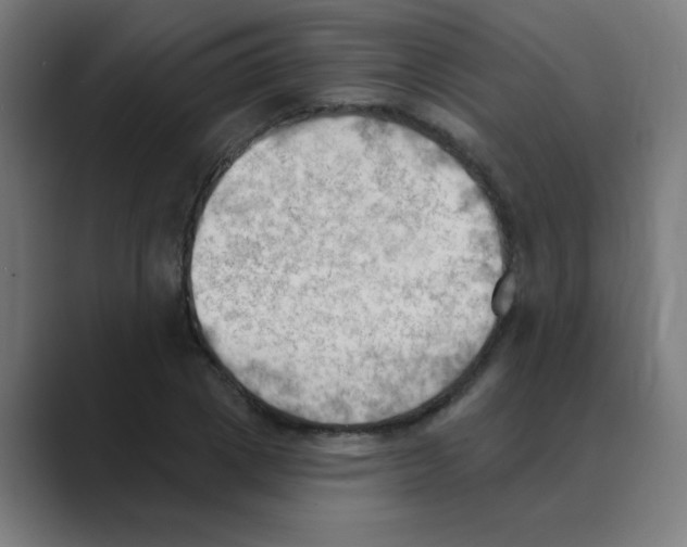 X0000088490833200706191423