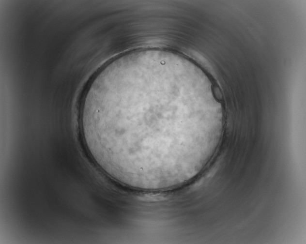 X0000088490835200706191423