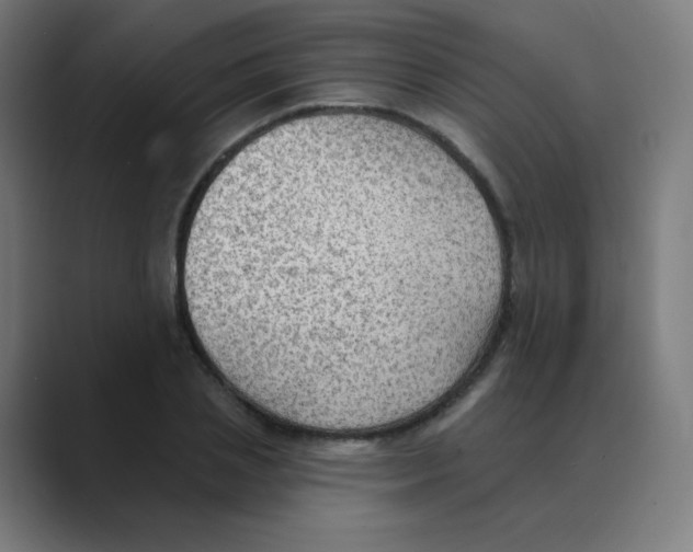 X0000088490837200706191423