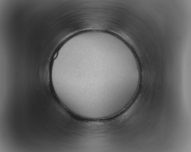 X0000088490838200706191423