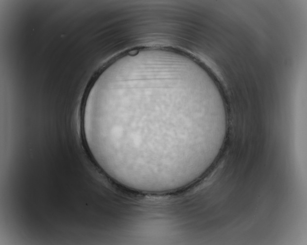 X0000088490840200706191423