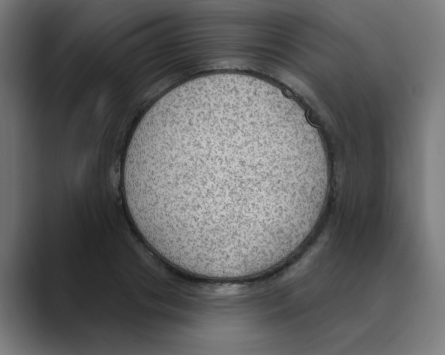 X0000088490841200706191423