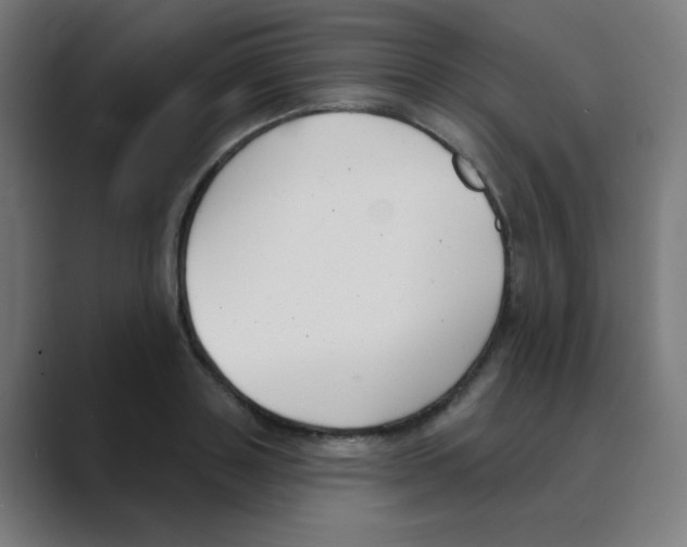 X0000088490843200706191423