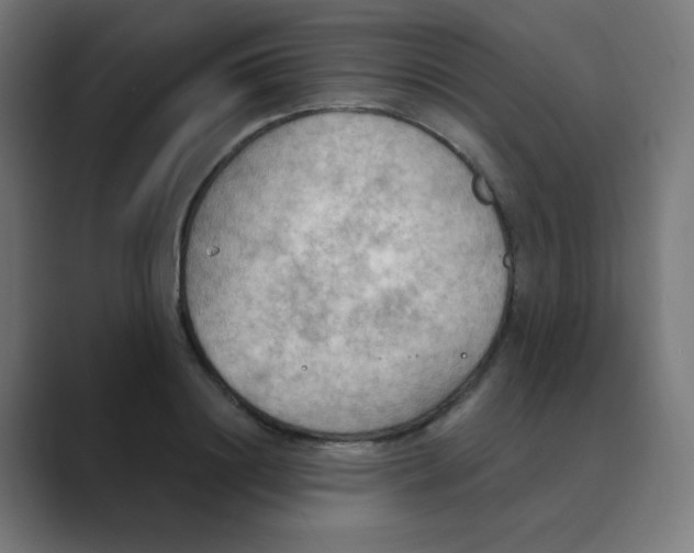 X0000088490844200706191423