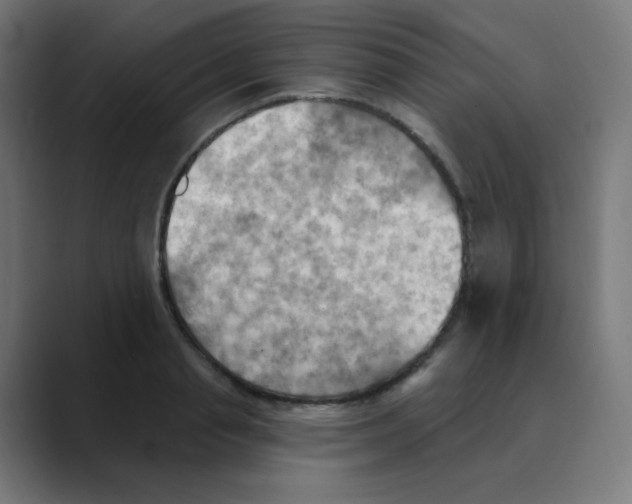 X0000088490845200706191423