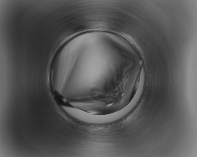 X0000088490846200706191423