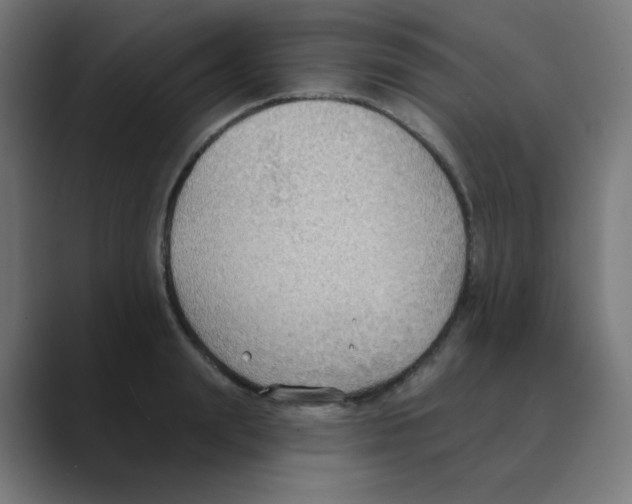 X0000088490847200706191423