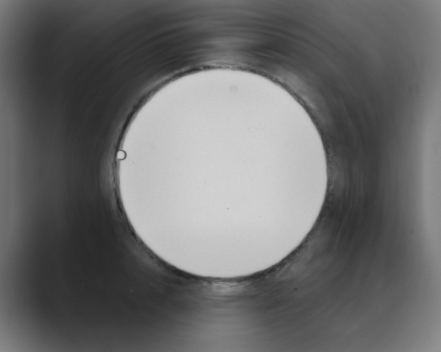 X0000088490848200706191423
