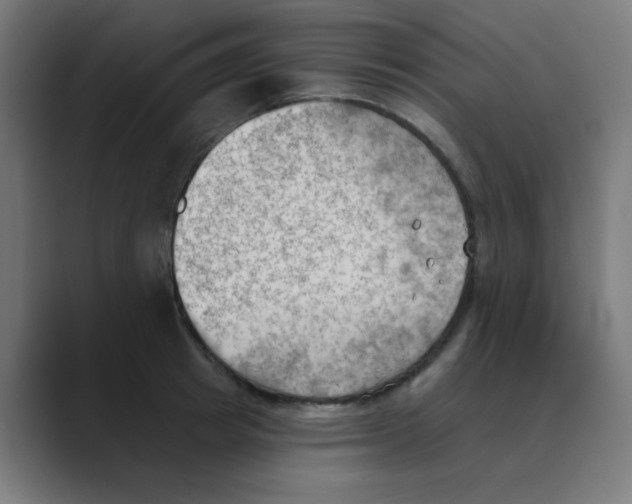 X0000088490849200706191423