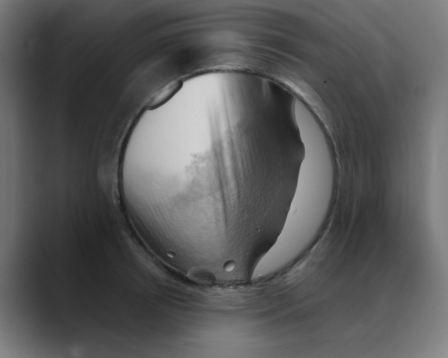 X0000088490850200706191423