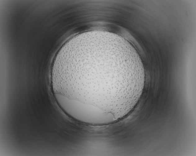 X0000088490852200706191423