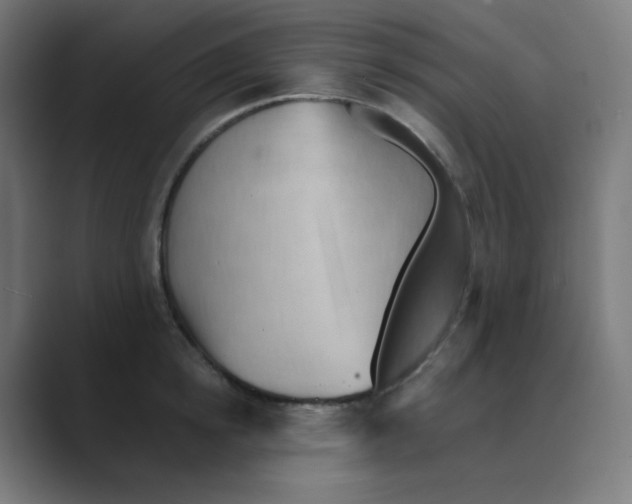 X0000088490854200706191423