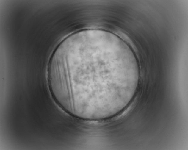 X0000088490855200706191423