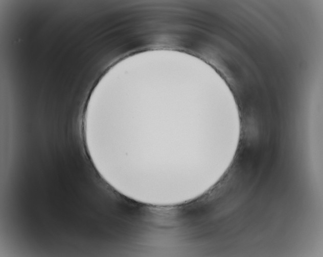 X0000088490856200706191423