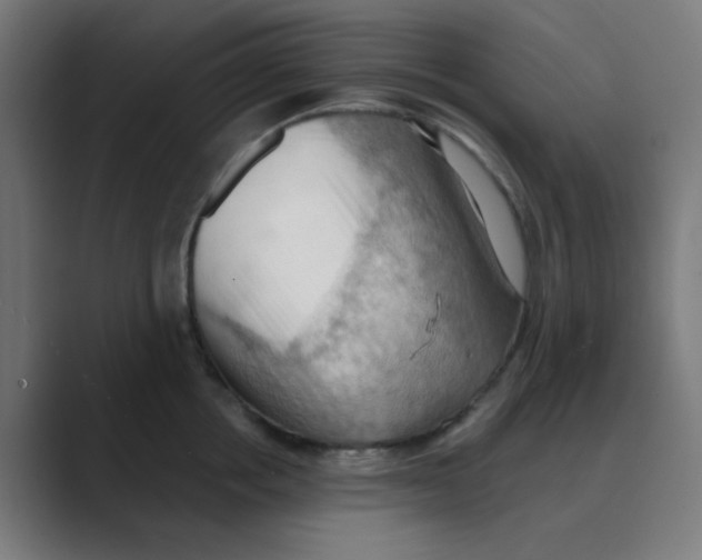 X0000088490858200706191423