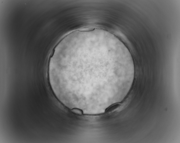 X0000088490860200706191423