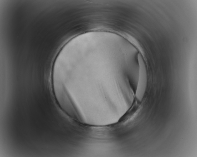 X0000088490863200706191423
