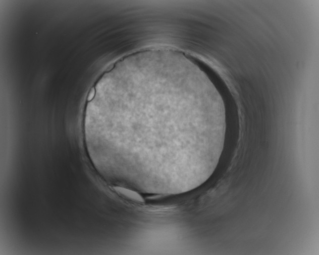 X0000088490864200706191423