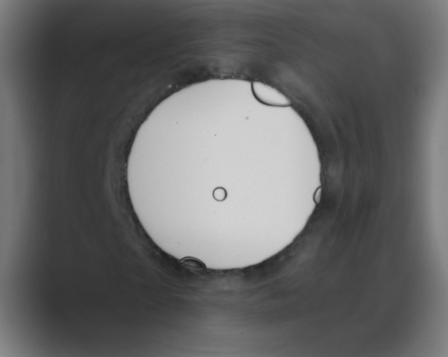X0000088490865200706191423