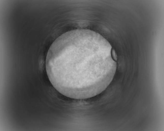 X0000088490866200706191423