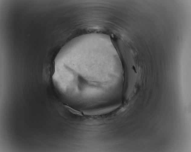 X0000088490868200706191423