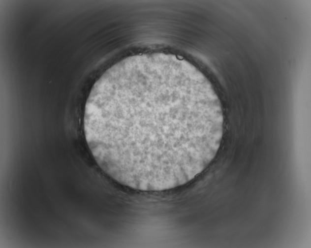 X0000088490871200706191423