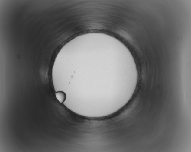 X0000088490873200706191422