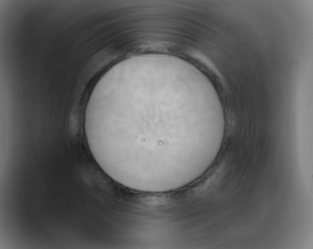 X0000088490874200706191422