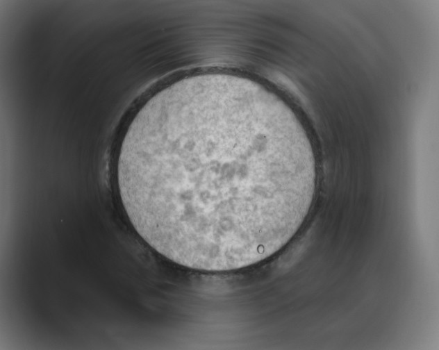 X0000088490875200706191422