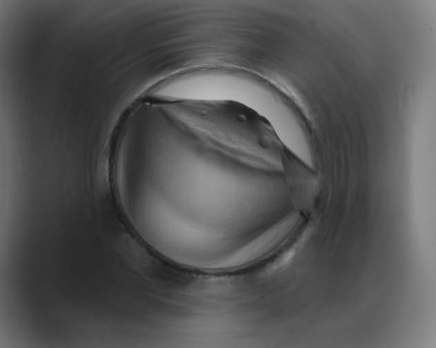 X0000088490877200706191422