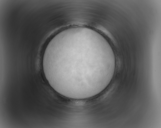X0000088490878200706191422