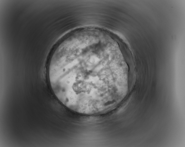 X0000088490879200706191422