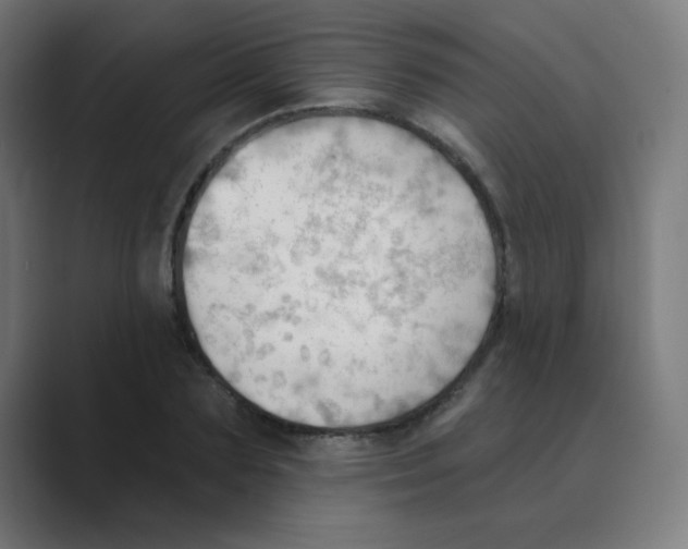 X0000088490883200706191422