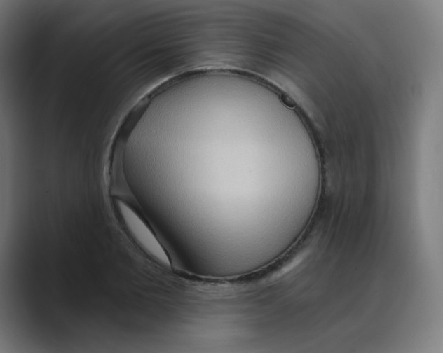 X0000088490885200706191422