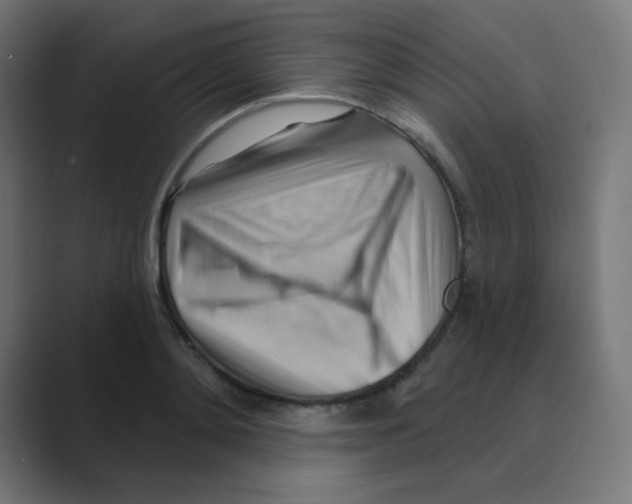 X0000088490892200706191422