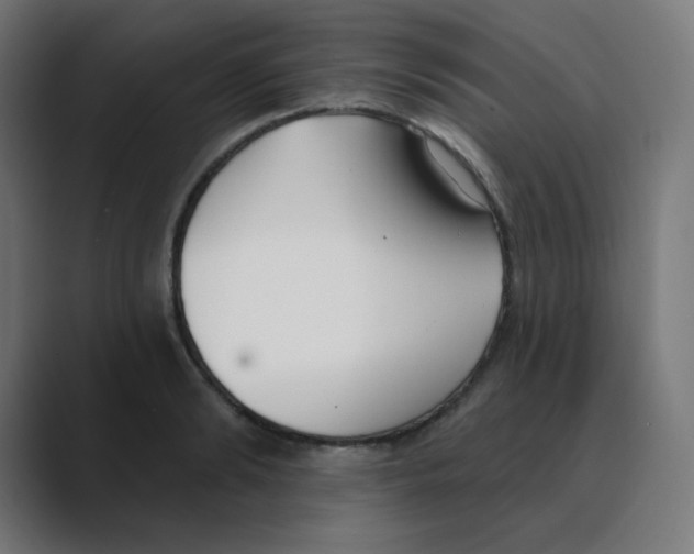 X0000088490894200706191422
