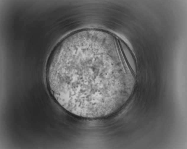 X0000088490895200706191422