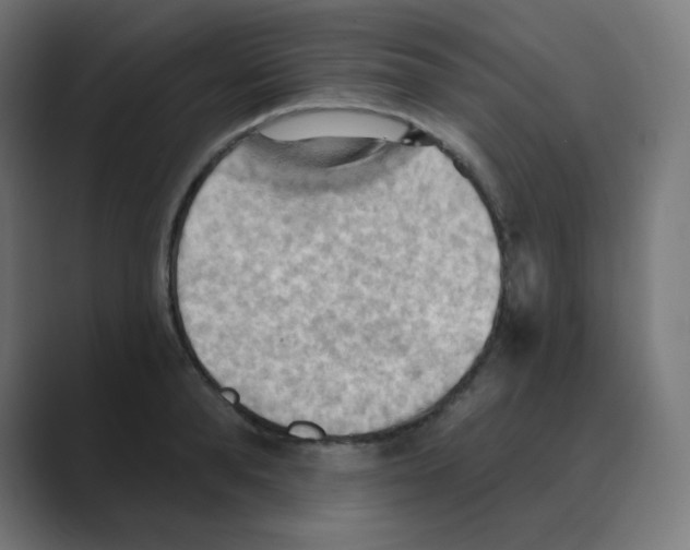 X0000088490896200706191422
