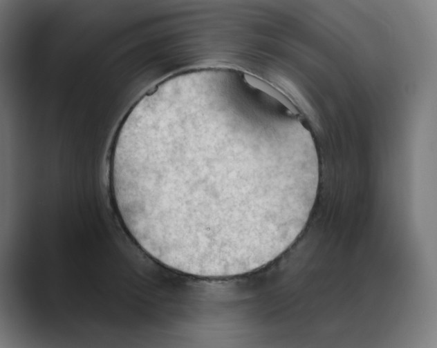 X0000088490900200706191422