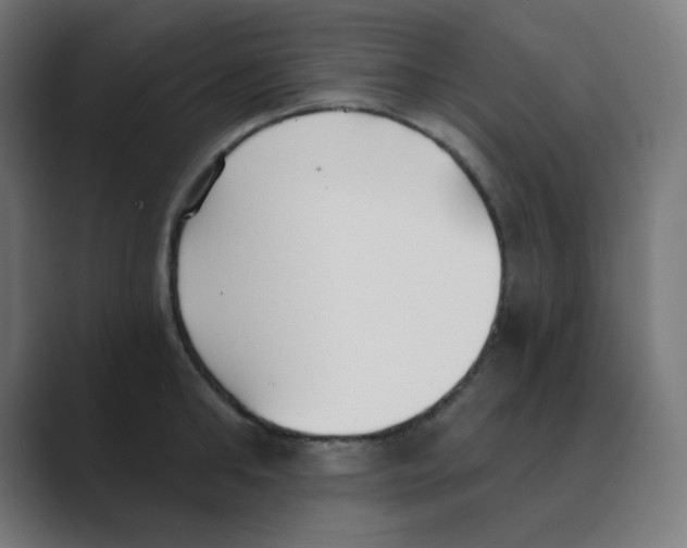 X0000088490902200706191422