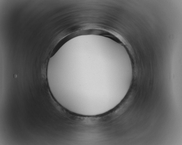 X0000088490905200706191422