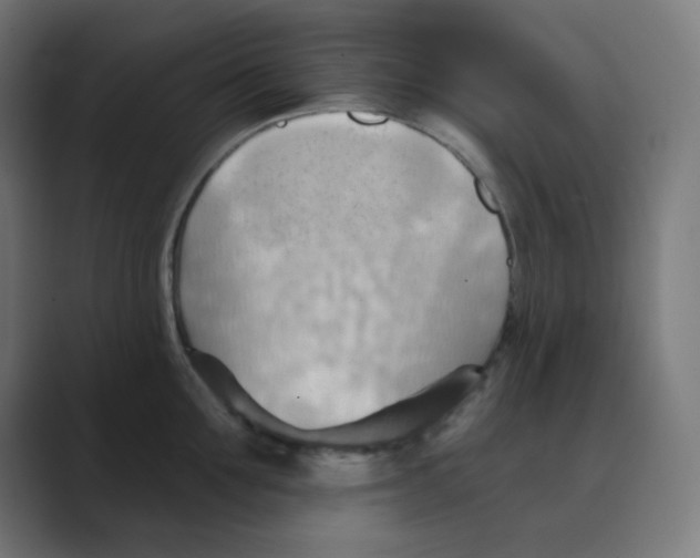 X0000088490907200706191422