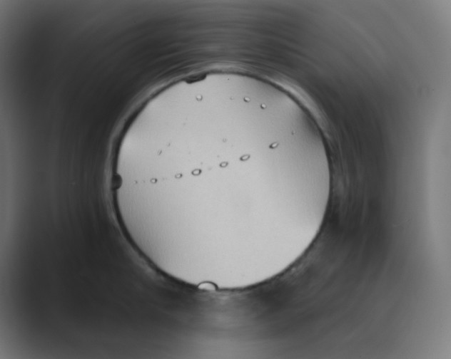 X0000088490910200706191422