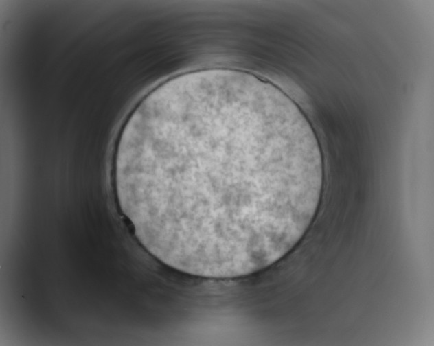X0000088490912200706191422