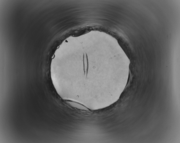 X0000088490920200706191422
