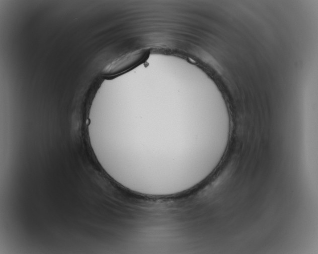 X0000088490922200706191422