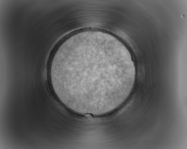 X0000088490924200706191422