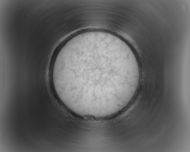 X0000088490928200706191422