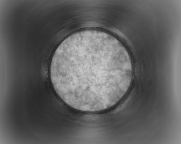 X0000088490929200706191422