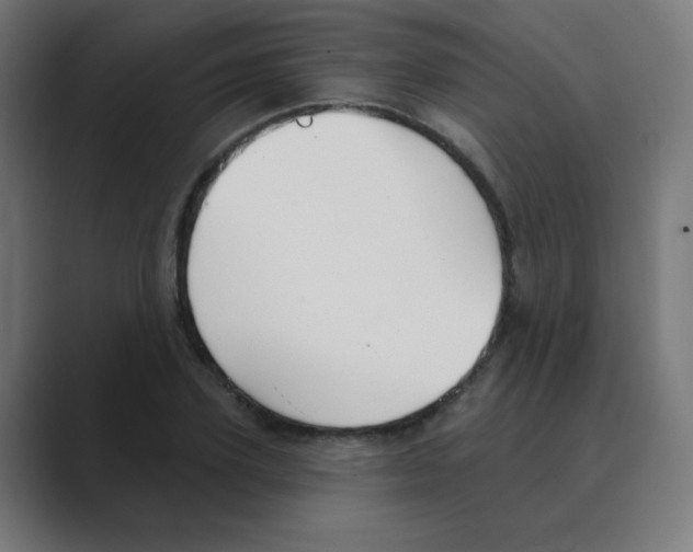 X0000088490931200706191422